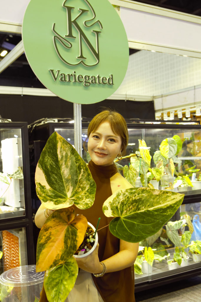 ไทยประกาศศักดาเบอร์ 1 ไม้แปลก–ไม้หายาก ผ่านงาน Bangkok International Exotic Plants Show & Sale ครั้งที่ 21 ไต้หวันร่วมเปิดงานพร้อมต่อยอดความร่วมมือ