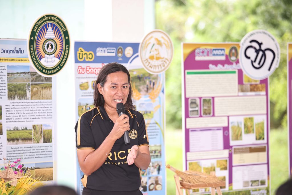 ARDA ผนึกงานวิจัย “ข้าวทนเค็ม - AI พยากรณ์น้ำเค็ม” สร้าง Climate Solution รับมือโลกร้อน ยกระดับความมั่นคงทางอาหารไทย