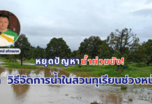หยุดปัญหาน้ำท่วมขัง! กูรูแนะ “วิธีจัดการน้ำในสวนทุเรียนช่วงหน้าฝน” หยุดปัญหาน้ำท่วมขัง! กูรูแนะ “วิธีจัดการน้ำในสวนทุเรียนช่วงหน้าฝน”
