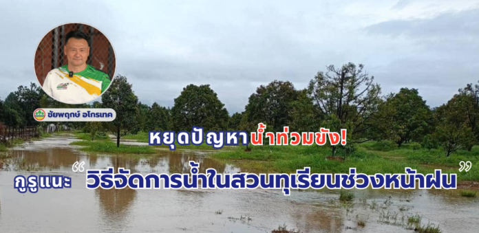 หยุดปัญหาน้ำท่วมขัง! กูรูแนะ “วิธีจัดการน้ำในสวนทุเรียนช่วงหน้าฝน” หยุดปัญหาน้ำท่วมขัง! กูรูแนะ “วิธีจัดการน้ำในสวนทุเรียนช่วงหน้าฝน”