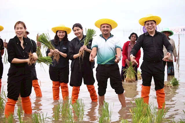 ARDA ปั้นภาคใต้สู่ต้นแบบ Agri Innovation Hub เชื่อม "สมุนไพร–ข้าวทนเค็ม–AI"