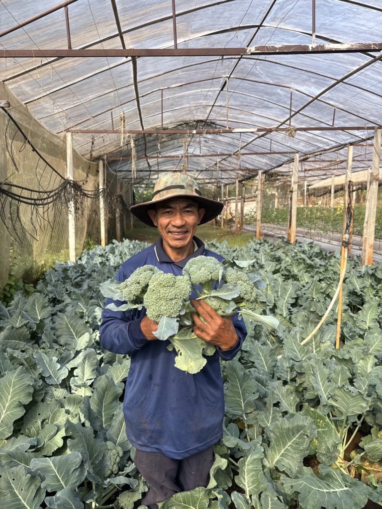 เปลี่ยนภูเขาเป็นทางลัดสู่ตลาด ...ARDA ปั้น “โดรนขนส่งผลผลิต” ปลดล็อกโลจิสติกส์เกษตรพื้นที่สูงหมดปัญหาผัก - ผลไม้ ช้ำระหว่างทาง โชว์จุดเด่นรับน้ำหนัก 70 กก. บินไกล 3 กม. ลดต้นทุน 63%