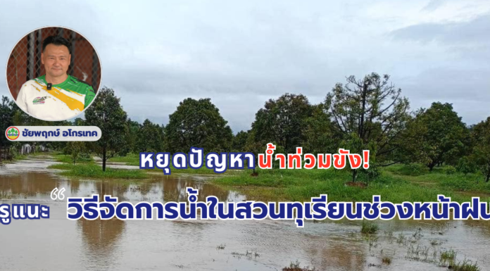 การจัดการน้ำในสวนทุเรียนช่วงหน้าฝน
