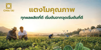 เจียไต๋ชูแนวคิด “ทุกผลผลิตที่ดี เริ่มต้นจากจุดเริ่มต้นที่ดี” ต่อยอดความเชี่ยวชาญด้านเมล็ดพันธุ์แตงโม เพื่อผลผลิตที่มีคุณภาพของเกษตรกร