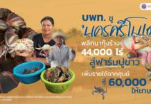 บพท. ชู “นครศรีโมเดล” พลิกนากุ้งร้าง 44,000 ไร่ สู่ฟาร์มปูขาว เพิ่มรายได้จากศูนย์ สู่ 60,000 บาทให้เกษตรกร บพท. ชู “นครศรีโมเดล” พลิกนากุ้งร้าง 44,000 ไร่ สู่ฟาร์มปูขาว เพิ่มรายได้จากศูนย์ สู่ 60,000 บาทให้เกษตรกร