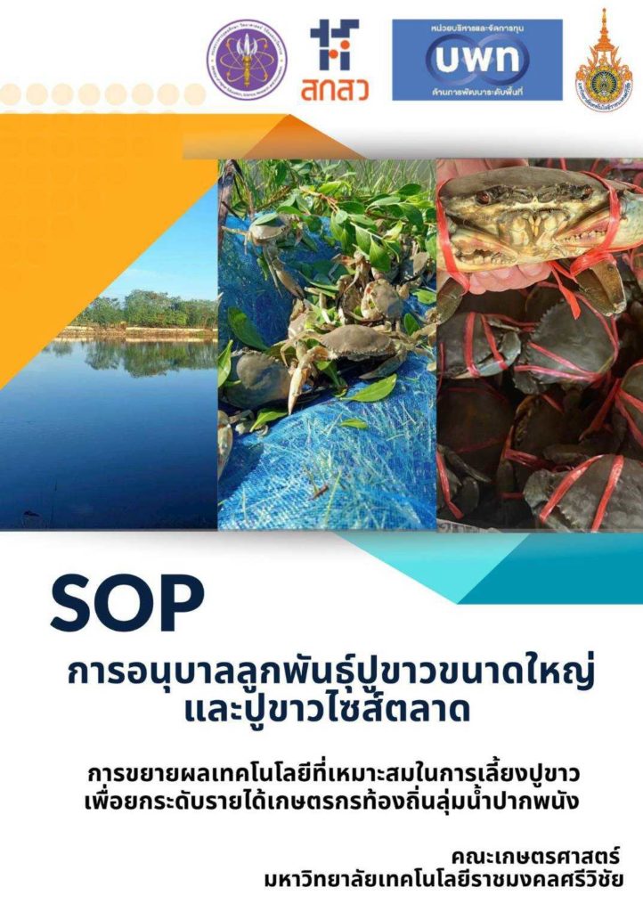 บพท. ชู “นครศรีโมเดล” พลิกนากุ้งร้าง 44,000 ไร่ สู่ฟาร์มปูขาว เพิ่มรายได้จากศูนย์ สู่ 60,000 บาทให้เกษตรกร