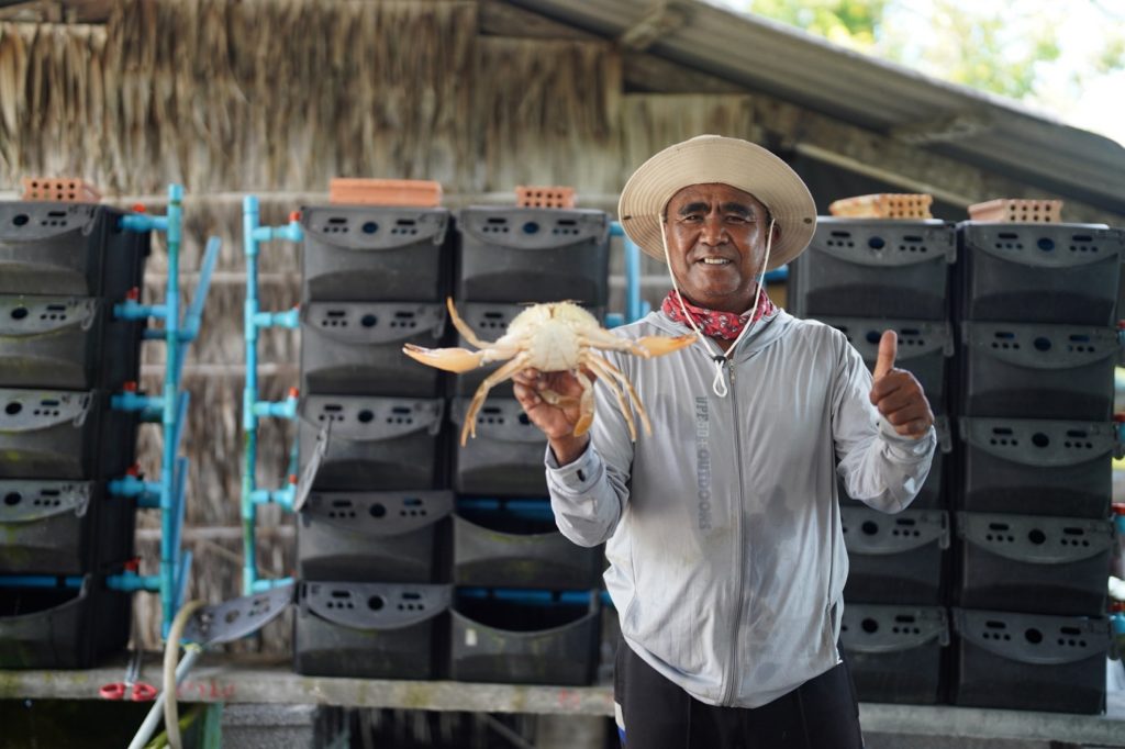 บพท. ชู “นครศรีโมเดล” พลิกนากุ้งร้าง 44,000 ไร่ สู่ฟาร์มปูขาว เพิ่มรายได้จากศูนย์ สู่ 60,000 บาทให้เกษตรกร