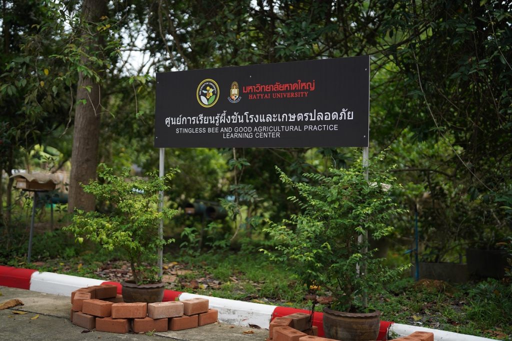 จาก "กล่องเลี้ยงชันโรง" สู่นวัตกรรมสร้างรายได้ พลิกเศรษฐกิจฐานรากของชุมชน