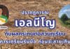 ปรากฏการณ์ “เอลนีโญ” กับผลกระทบต่อสวนทุเรียน วิธีการเตรียมรับมือก่อนสายเกินไป ปรากฏการณ์ “เอลนีโญ” กับผลกระทบต่อสวนทุเรียน วิธีการเตรียมรับมือก่อนสายเกินไป