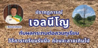 ปรากฏการณ์ “เอลนีโญ” กับผลกระทบต่อสวนทุเรียน วิธีการเตรียมรับมือก่อนสายเกินไป