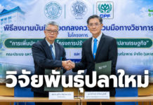 คณะประมง มก. ร่วมมือกับซีพีเอฟ วิจัยปรับปรุงพันธุ์สัตว์น้ำเพิ่มขีดแข่งขันเกษตรกรไทย คณะประมง มก. ร่วมมือกับซีพีเอฟ วิจัยปรับปรุงพันธุ์สัตว์น้ำเพิ่มขีดแข่งขันเกษตรกรไทย