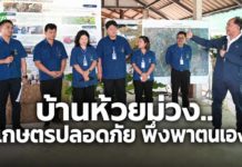“บ้านห้วยม่วง” พลิกเกษตรเคมีสู่เกษตรปลอดภัย ต่อยอดศาสตร์พระราชา สู่ชุมชนพึ่งตนเอง “บ้านห้วยม่วง” พลิกเกษตรเคมีสู่เกษตรปลอดภัย ต่อยอดศาสตร์พระราชา สู่ชุมชนพึ่งตนเอง