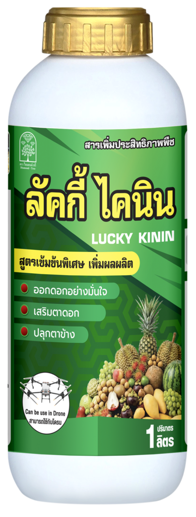 ไขความลับ! ปรับสภาพแวดล้อมในสวน กระตุ้นการออกดอกของทุเรียน