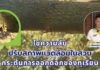 ไขความลับ! ปรับสภาพแวดล้อมในสวน กระตุ้นการออกดอกของทุเรียน